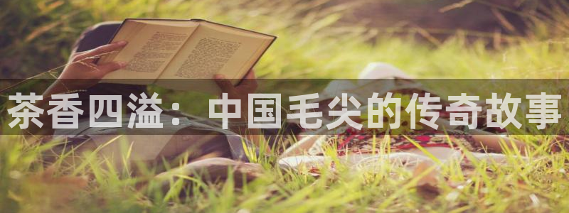 安信12周年庆典