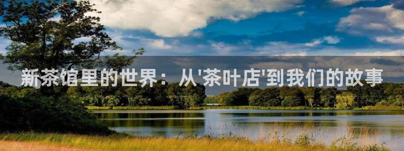 如何注销安信12软件