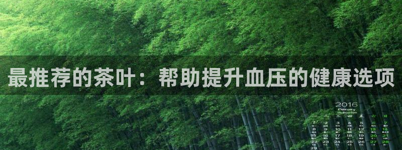 安信12注册登录平台
