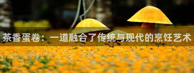 安信证券手机壳12