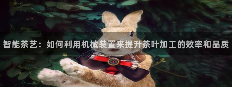 安信12是正规还是仿