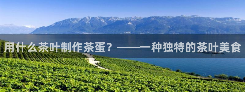 安信安翼 12账号