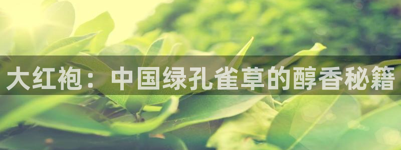 安信12娱乐登录网页