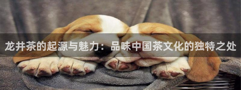 安信12注册登录