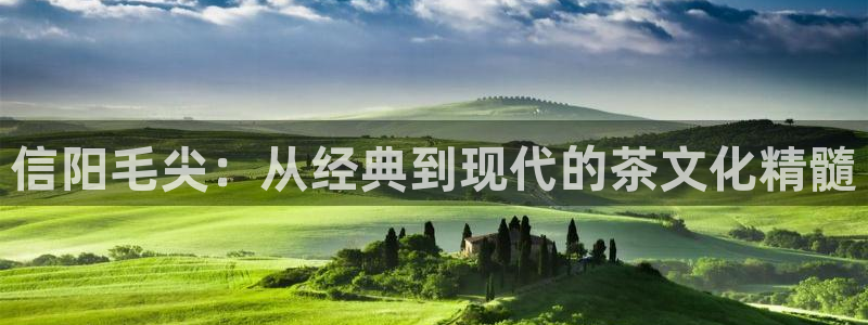 安信12是正规平台吗