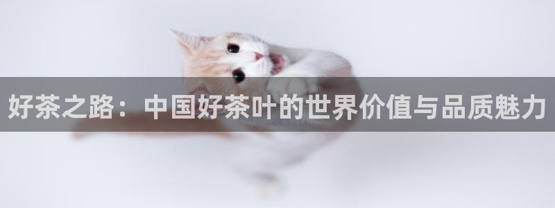 安信12娱乐主管