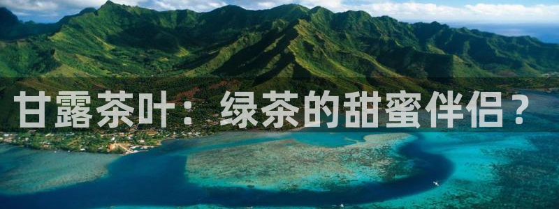 安信12注册代理