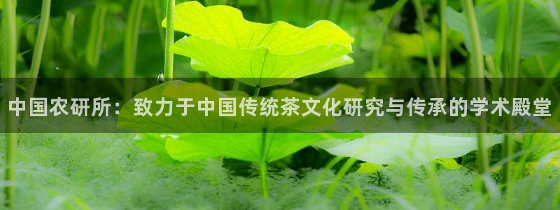 安信12平台可靠吗