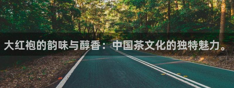 安信12是正轨网站吗