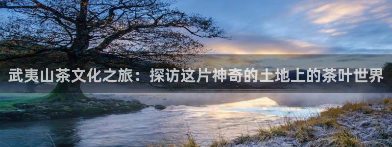 安信12注册代理