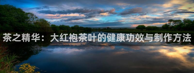 安信12娱乐登录网页