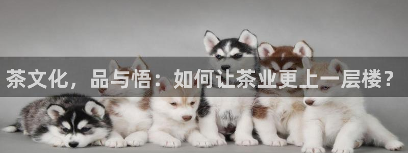 安信12平台可靠吗