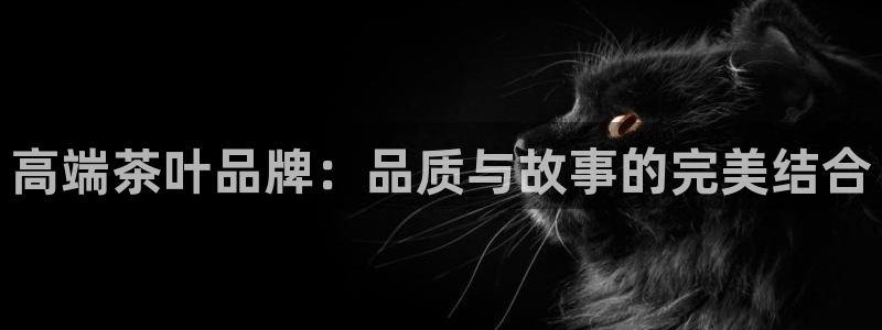 安信娱乐12登录地址