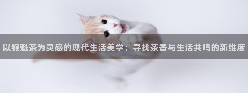 安信12娱乐招商探索空间