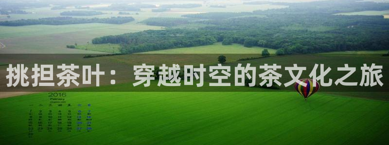 安信12正版下载