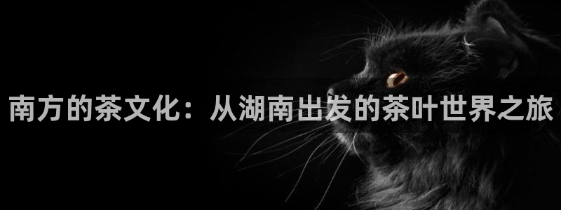 安信12娱乐招商