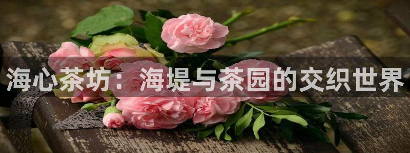 安信主管su金12手12指tq